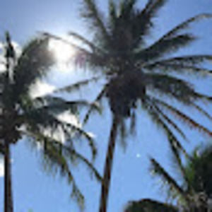 Meet your Posher, Ema